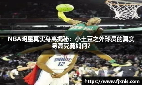 必一运动bsport体育